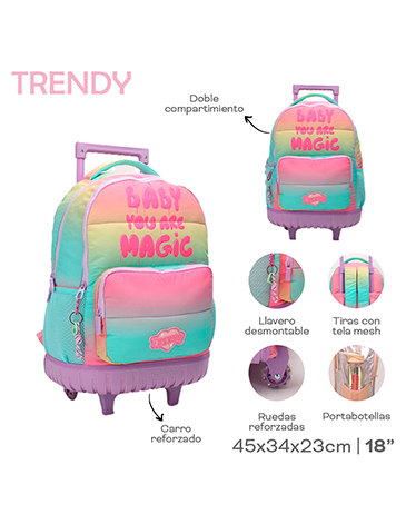 Venta por Mayor y Catalogo Mochila Carro 18