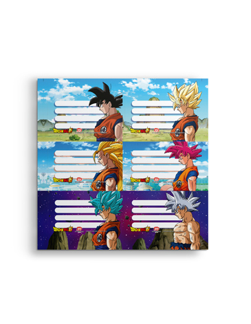 Venta por Mayor y Catalogo Etiquetas Dragon Ball  x2 Unid. Mooving